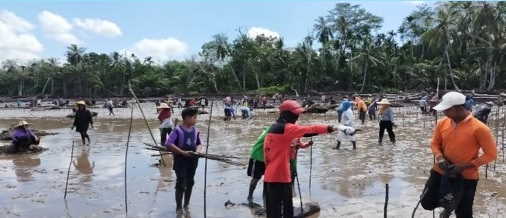 Rehabilitasi Mangrove Libatkan Kelompok Tani Kawasan Pesisir